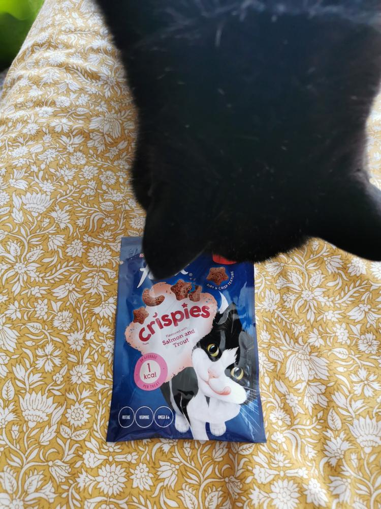 2x Felix Crispies Cat Treats Salmon and Trout (2x180g) - Customer Photo From Jennifer B.
