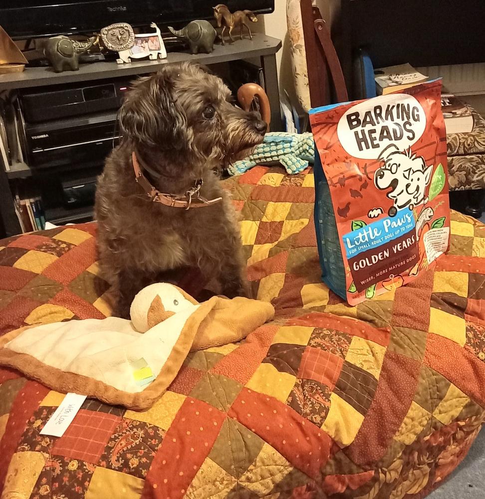 2x Barking Heads Little Paws Golden Years with Chicken Dry Dog Food (2x1kg) - Customer Photo From Sylvia S.