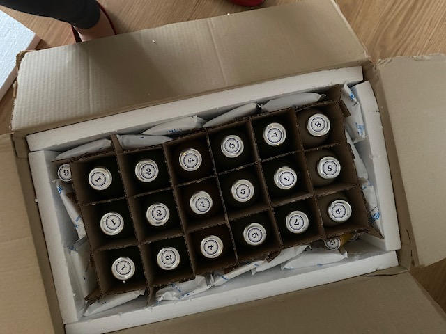 Advanced Cleanse - Customer Photo From Anonymous