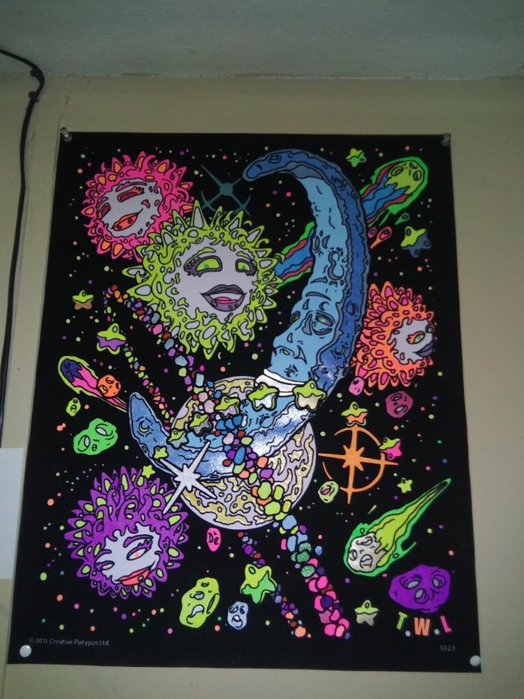 Cosmos - Fuzzy Velvet Coloring Poster 16x20 Inches 