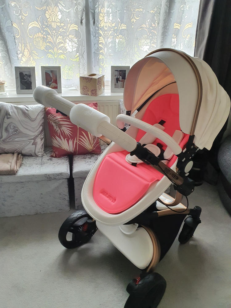 max of aulon stroller review