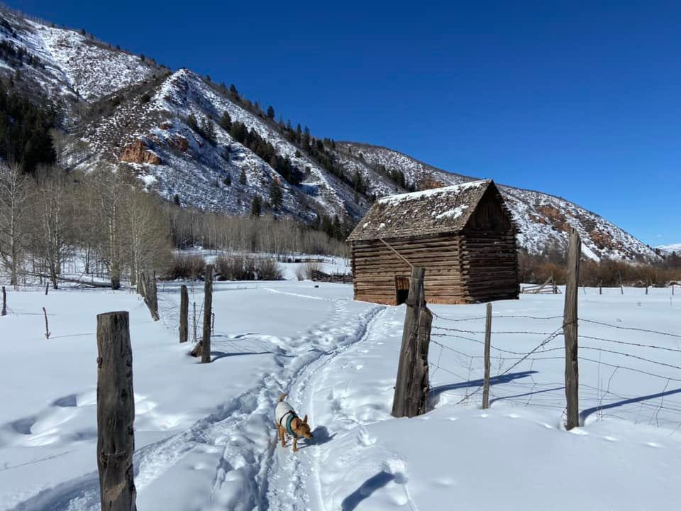 USA 45 Days 4G Travel Sim Card | Unlimited High Speed 4G Data | T-Mobile - Customer Photo From sabine ruckriegel