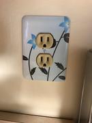 Wallplates.com Blue Double Sprig Cover Plates Duplex Outlet Wallplate Review
