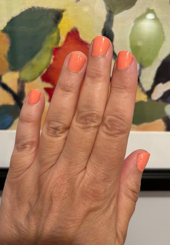 P.O.P Spring Flowers the Cream Spring Collection Coral Pink Melon Orange  Pastel Nail Polish Lacquer Varnish Indie Water Marble Stamping - Etsy