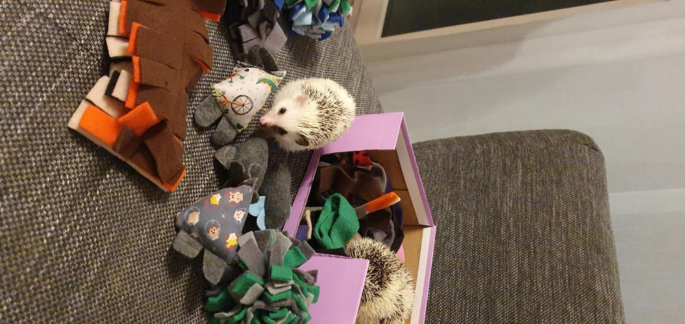 TOY BUNDLE #1: Toys for hedgehogs. Set of 4 or 8 fleece toys. - Customer Photo From R. C.