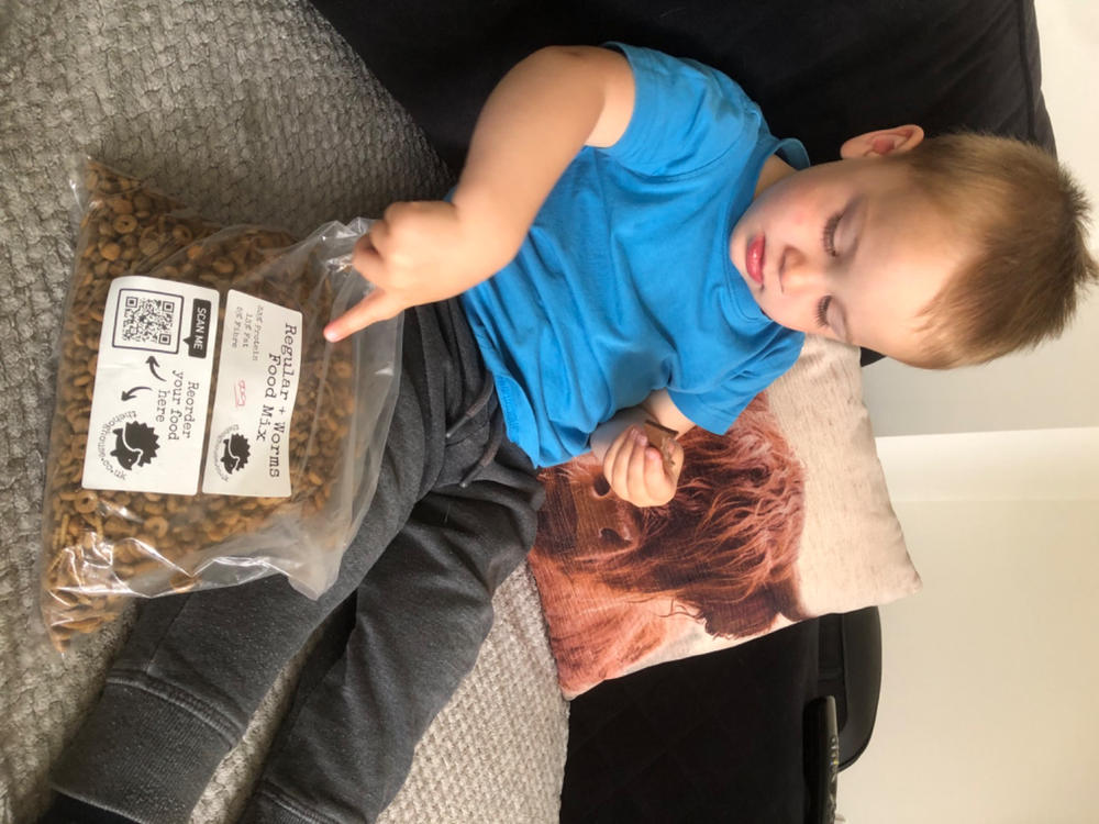 500g (1.10 lb) African pygmy hedgehog food mix. Hedgehog biscuit mix. Dry food mix. - Customer Photo From Claire Hill