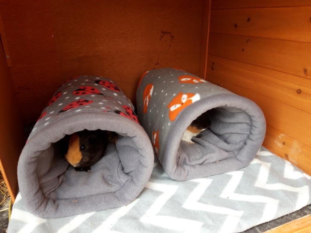 Fleece cosy bunker. Hedgehog and guinea pig padded fleece lined house. - Customer Photo From Helen King