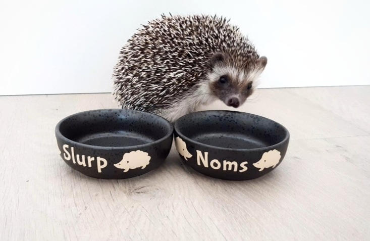 Ceramic hedgehog food and water bowls. Noms and slurp bowls. - Customer Photo From Merel Maletzky