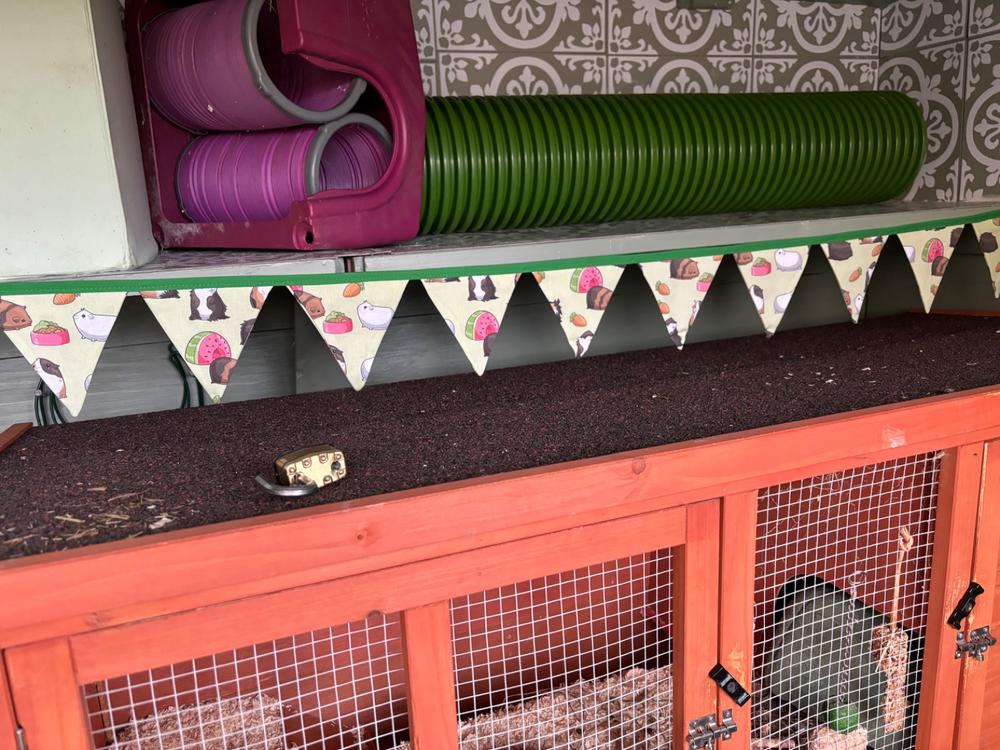 Guinea pigs miniature bunting. Viv decorations. Cage decorations. - Customer Photo From Mandy Lee