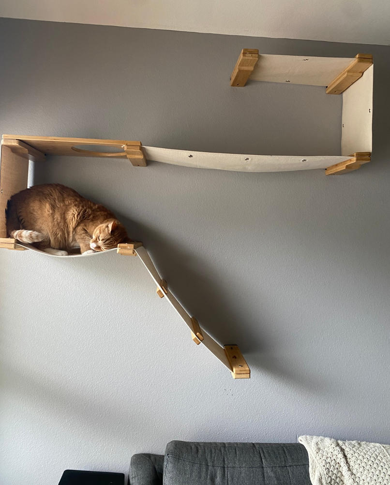 The Play | Wall-Mounted Cat Tree | Catastrophic Creations