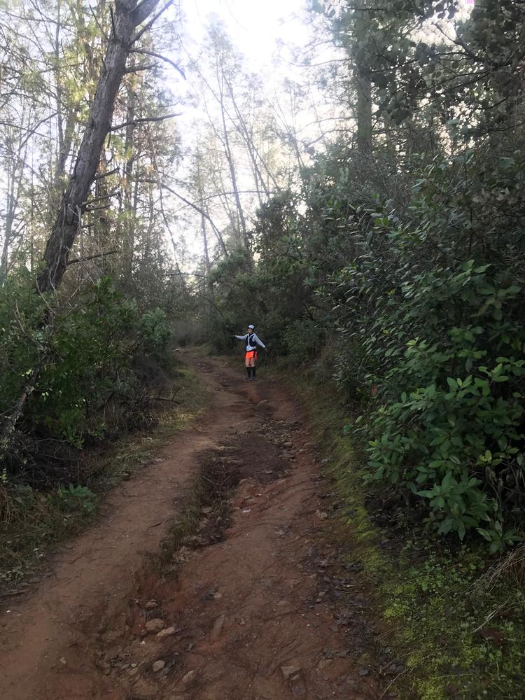 Adventure Vesta 4.0 - Customer Photo From Elisia