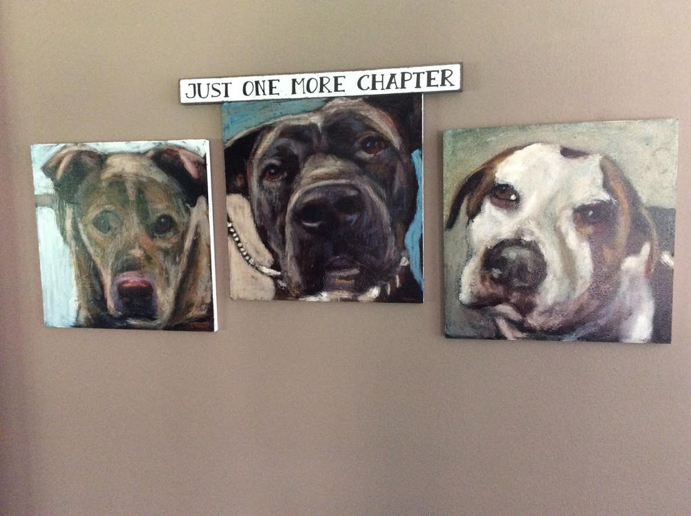 5500 Shelter Dog Portraits - Customer Photo From Lori M.