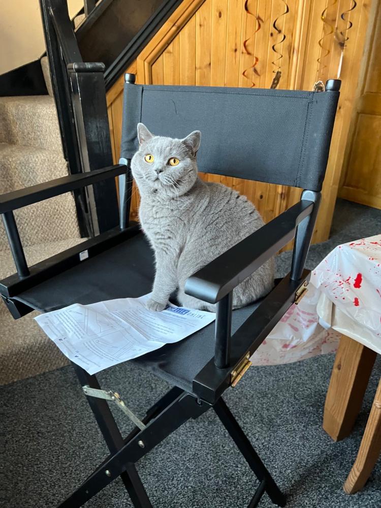 Premium Tall Makeup Chair - Customer Photo From Sara M.