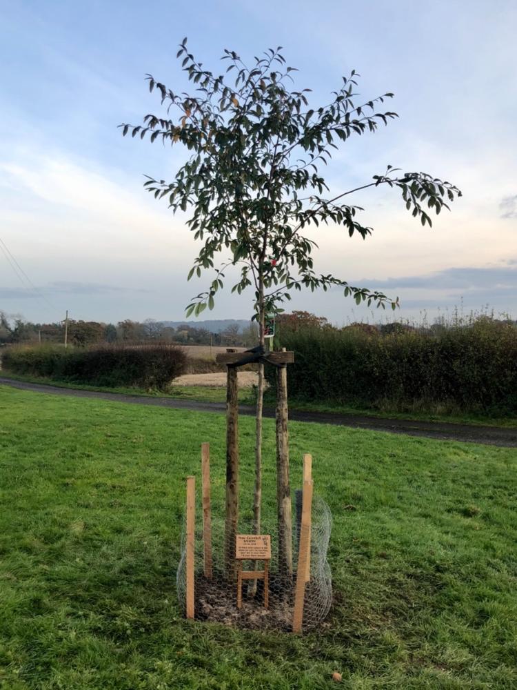 Memorial & Commemorative Plaques - Small - 200 x 150mm - Customer Photo From Charlotte Smalley