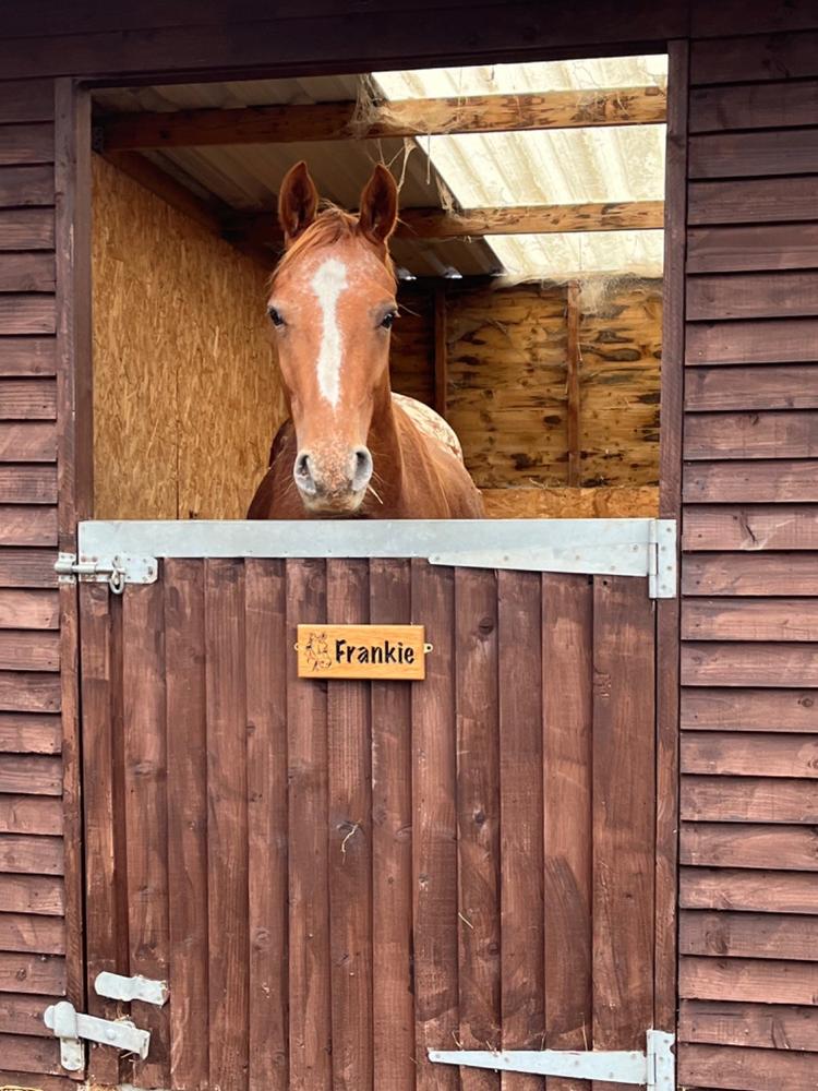 Small Stable Sign 265 x 110mm - Customer Photo From Anonymous