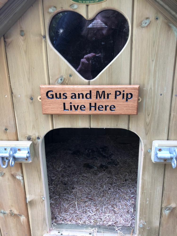 Small Thin Stable Sign 265 x 80mm - Customer Photo From Anonymous