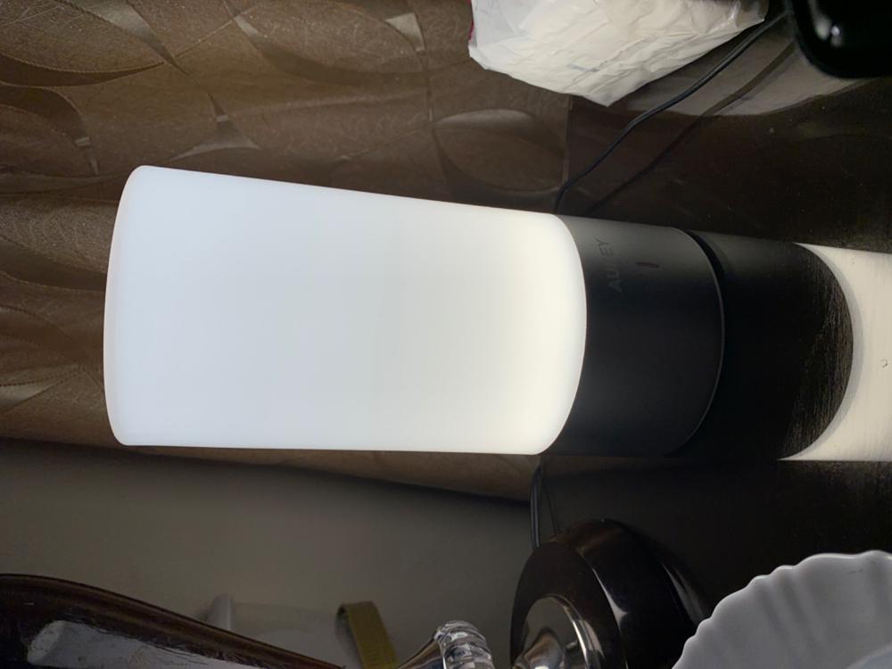 AUKEY Table Lamp, Touch Sensor Bedside Lamps + Dimmable Warm White Light - LT-T6 - Customer Photo From Major Arshad Khan