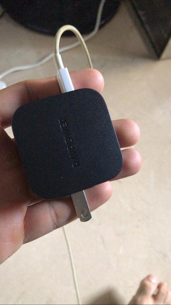 18 W USB C Power Delivery Charger & Quick Charge 3.0 Dual Port Wall Charger by RAVPower - US Foldable Plug - Black - RP-PC108 - Customer Photo From Ali Asif