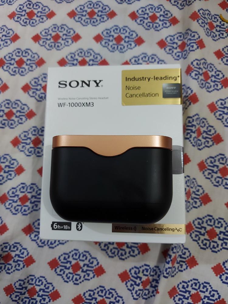 Sony WF-1000XM3 Industry Leading Noise Canceling Truly Wireless Earbuds - Black Bundle with FREE AS210AP - Customer Photo From Zohaib Asghar