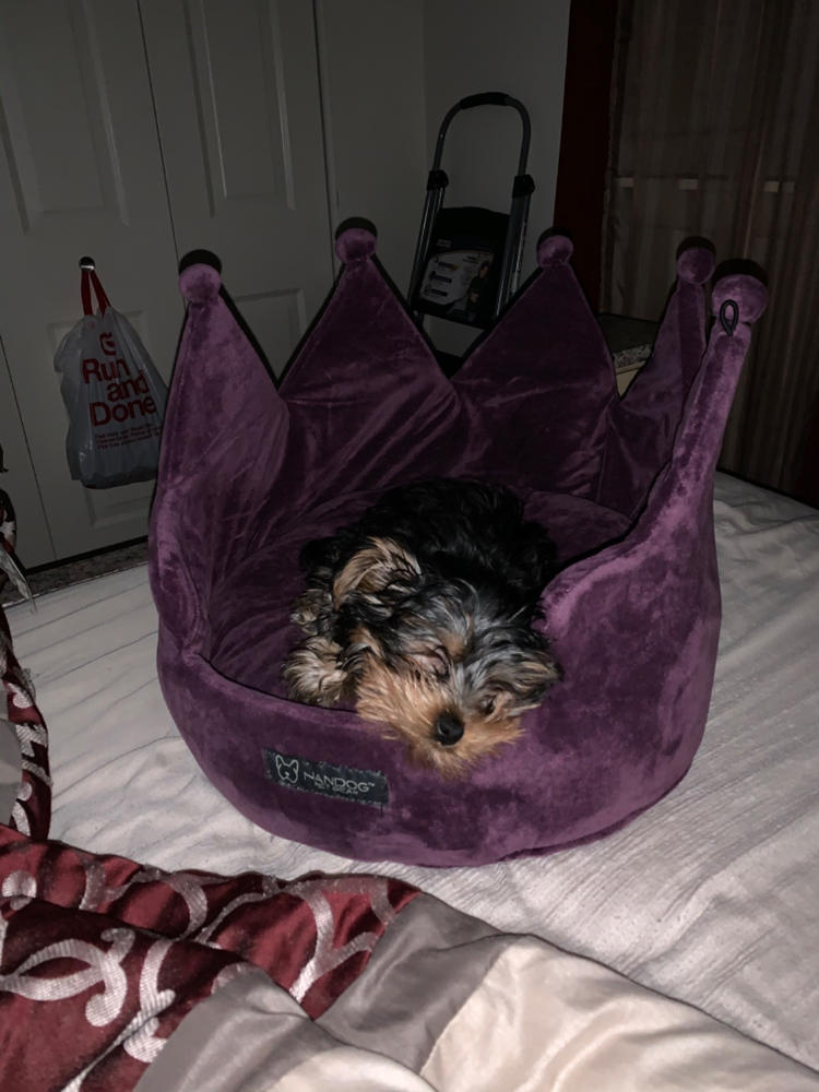 purple crown dog bed