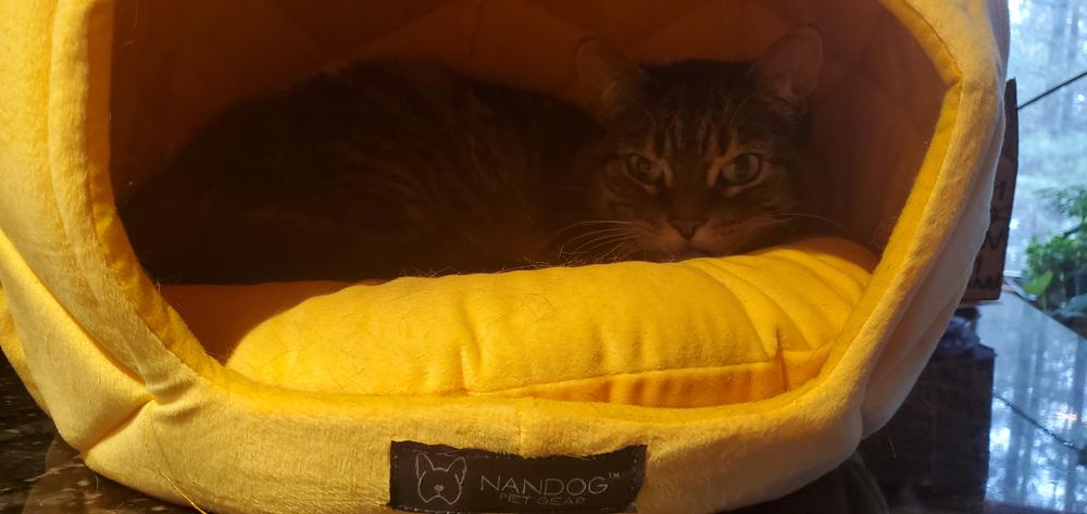 pineapple dog bed nandog