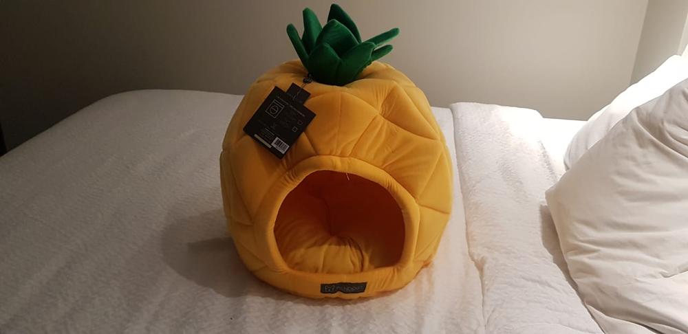 pineapple dog bed nandog