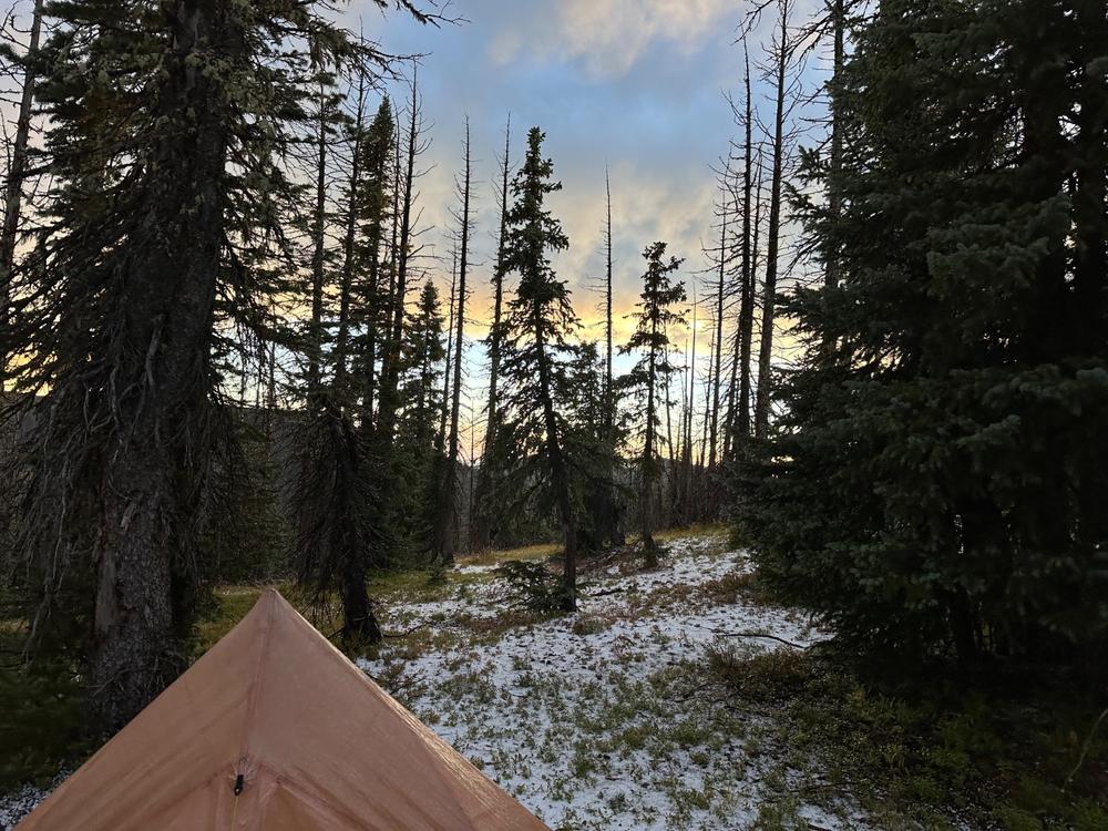 Plex Solo Tent - 1P UL Backpacking Shelter | Zpacks