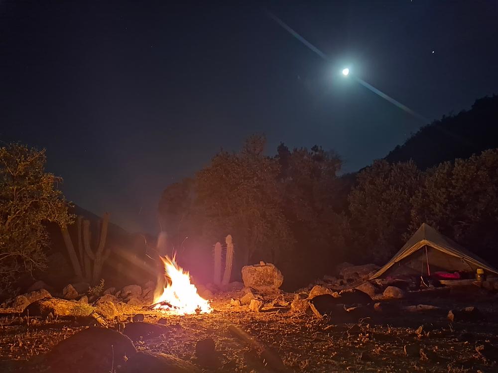 Plex Solo Tent - 1P Ultralight Backpacking Shelter | Zpacks