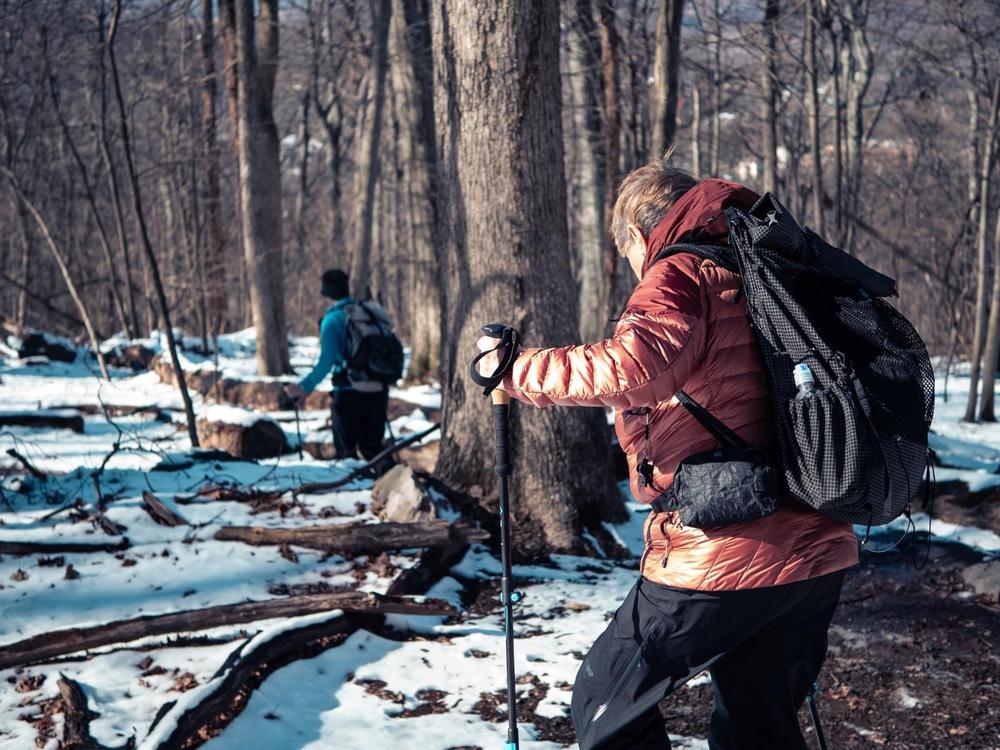 Ultralight Carbon Fiber Trekking Poles  Lightest Backpack Hiking Pole –  Zpacks