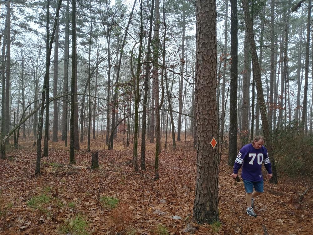 Minnesota Vikings 1969 Football Jersey Ebbets Field