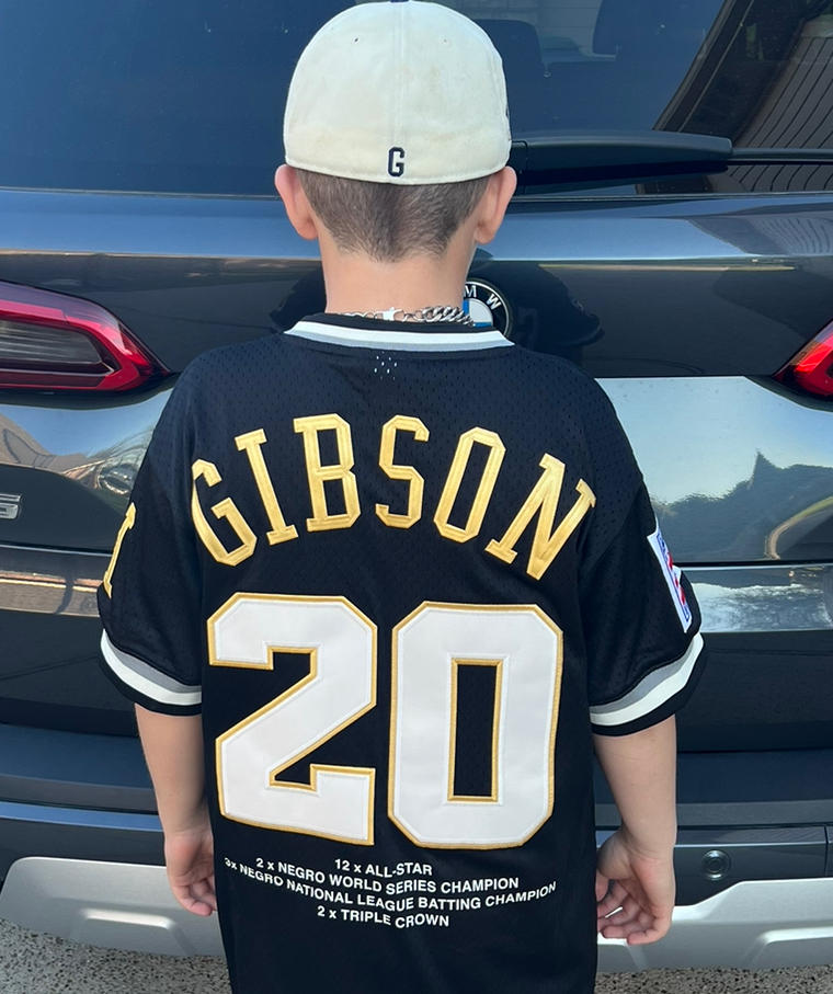  Men's Josh Gibson Jersey,20 Homestead Grays Negro National  League Baseball Jersey,Stitched Sports Fan Shirt S-3XL : Clothing, Shoes 