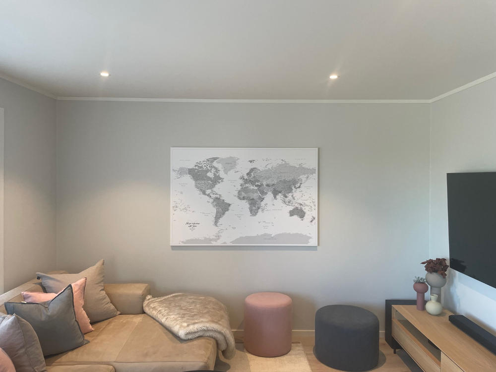 Push Pin World Map - Grey (Detailed) - Customer Photo From Justin Morelock