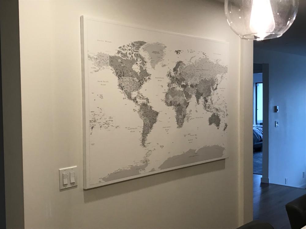 Push Pin World Map - Grey (Detailed) - Customer Photo From Tanya Millage