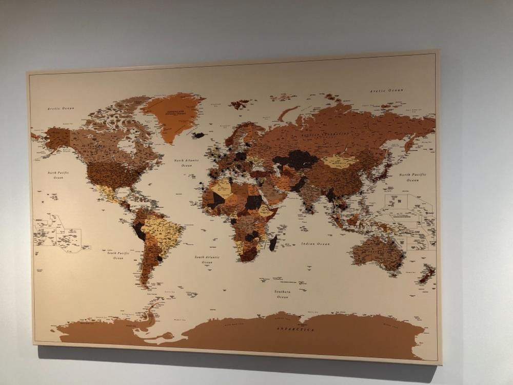 World Push Pin Map - Brown (Detailed) - Customer Photo From Susan Mealing