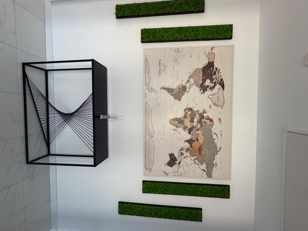 Push Pin World Map - Safari (Detailed) - Customer Photo From Marina Badea