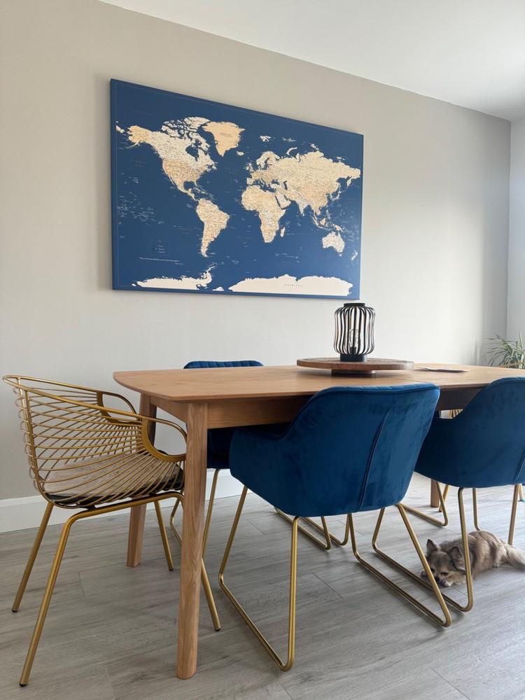Push Pin World Map - Dark Blue (Detailed) - Customer Photo From Katarina Dukovac