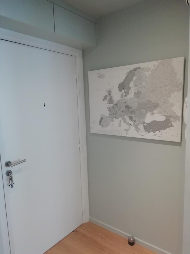 Europe Push Pin Map – White & Grey (Detailed) - Customer Photo From Thierry CLEMOT