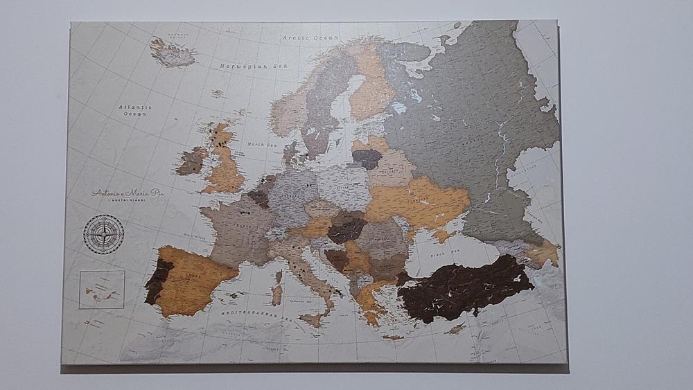 Europe Push Pin Map – Safari (Detailed) - Customer Photo From Antonio Casadonte