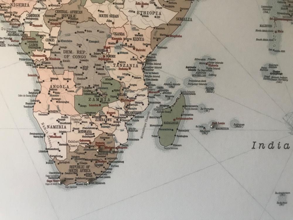 Push Pin World Map - Vintage light blue / brown (Detailed) - Customer Photo From Leslie Spinelli