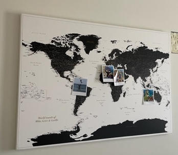 Push Pin World Map - White and Black (Detailed) - Customer Photo From griet buccauw