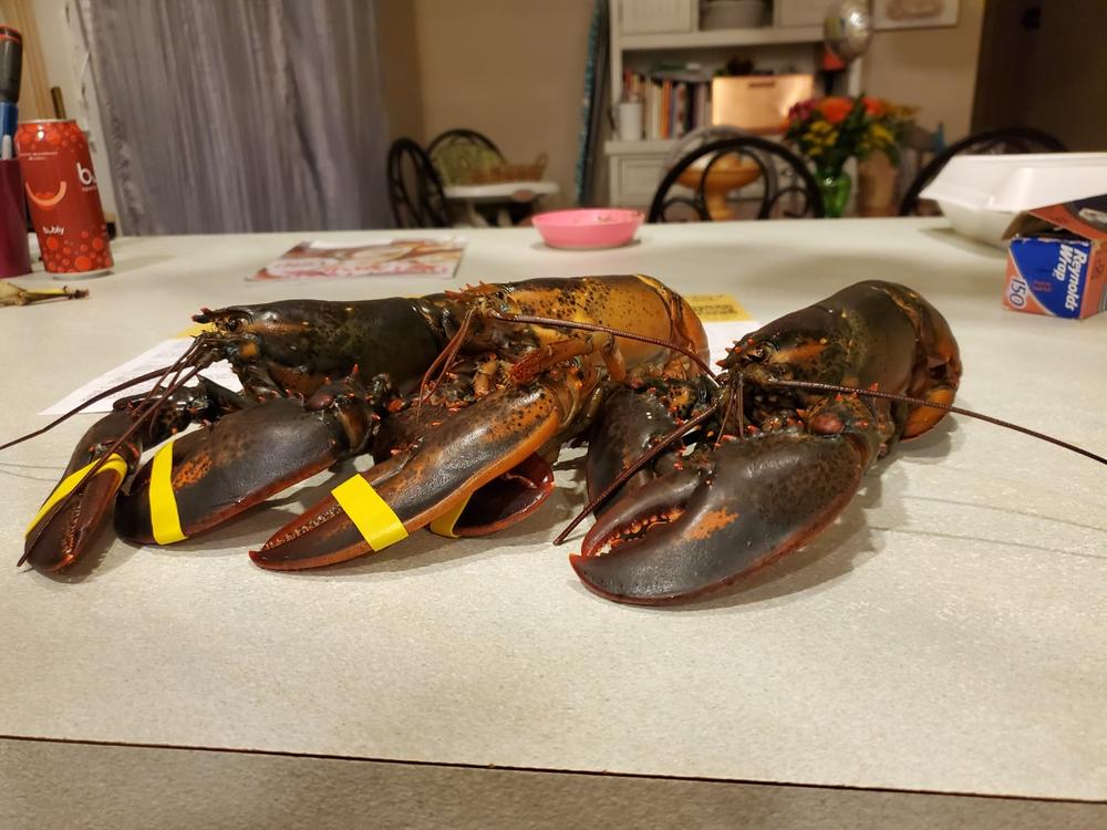 Maine Lobster eGift Card - Customer Photo From Jennifer Willis