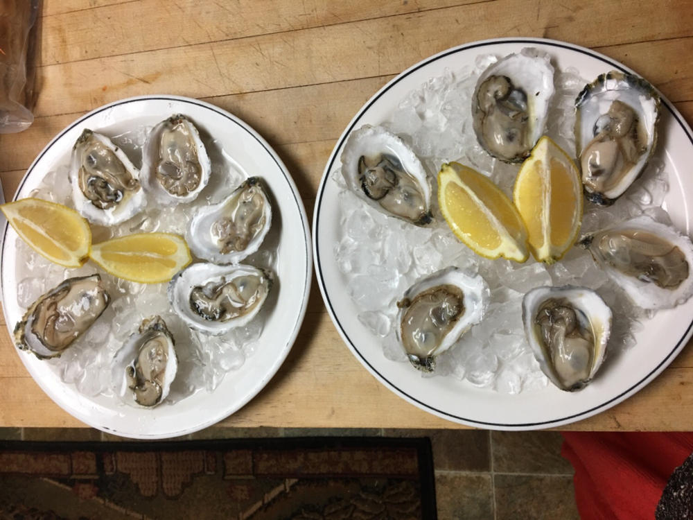 Fresh Maine Oysters - Customer Photo From Adrienne Lincoln