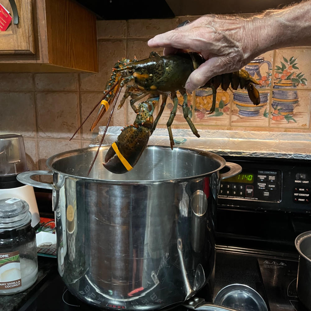 Live Maine Lobsters - Customer Photo From Richard Ellis