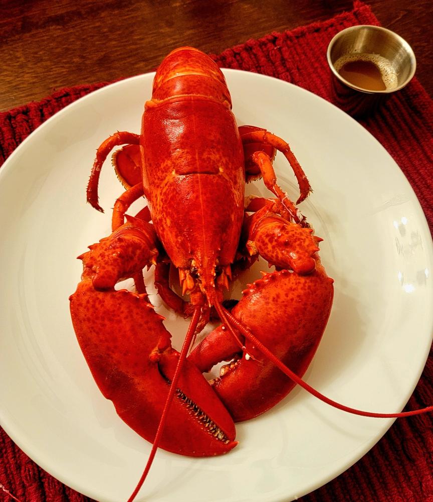 Lobster Bisque (1 Pint) - Customer Photo From Evan Tansey