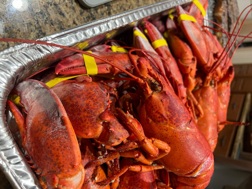 Big Box 12 Live Lobsters (1.2-1.4 LBs) - Customer Photo From Amanda Clark