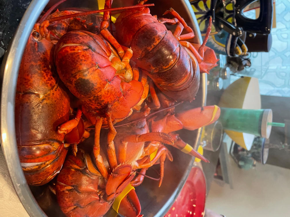 Big Box 12 Live Lobsters (1.2-1.4 LBs) - Customer Photo From Olga Gagne