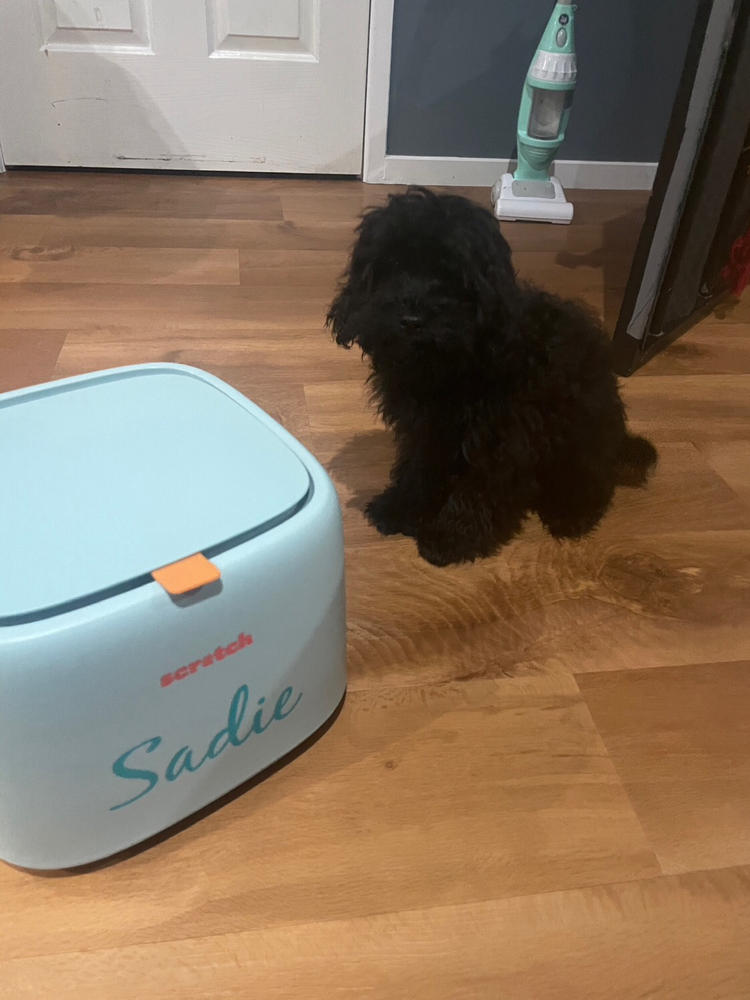 Dog Food Reviews 🐶 Scratch Pet Food