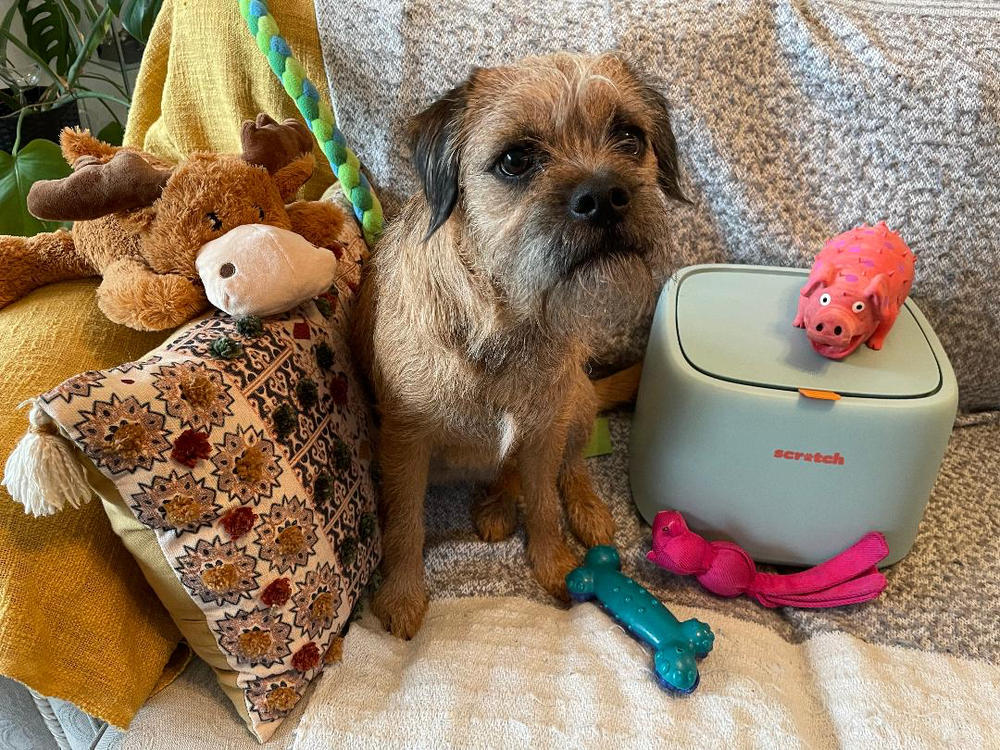 Dog Food Reviews 🐶 Scratch Pet Food