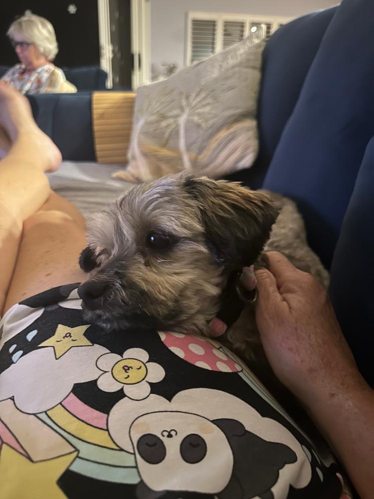 Grain-Free Mixed Box 8kg - Customer Photo From Meryl