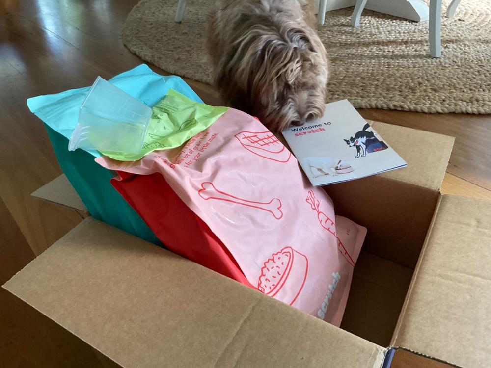 Grain-Free Mixed Box 8kg - Customer Photo From Penelope Boot